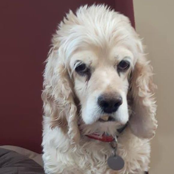 Meet your Posher, Lori - Picture 1 of 1